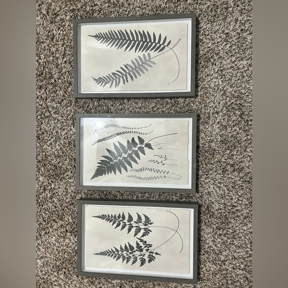 Set of 3 botanical flower framed prints - Grey